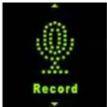 Record