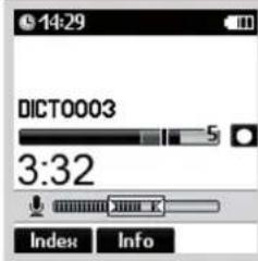 14:29 DICT0003 5 3:32 Index Info
