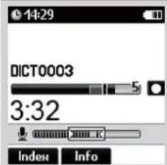 14:29 DICT0003 3:32 Index Info