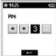 PIN: * * 3