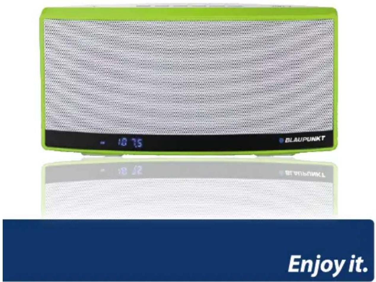 BLAUPUNKT BT10GR - 1