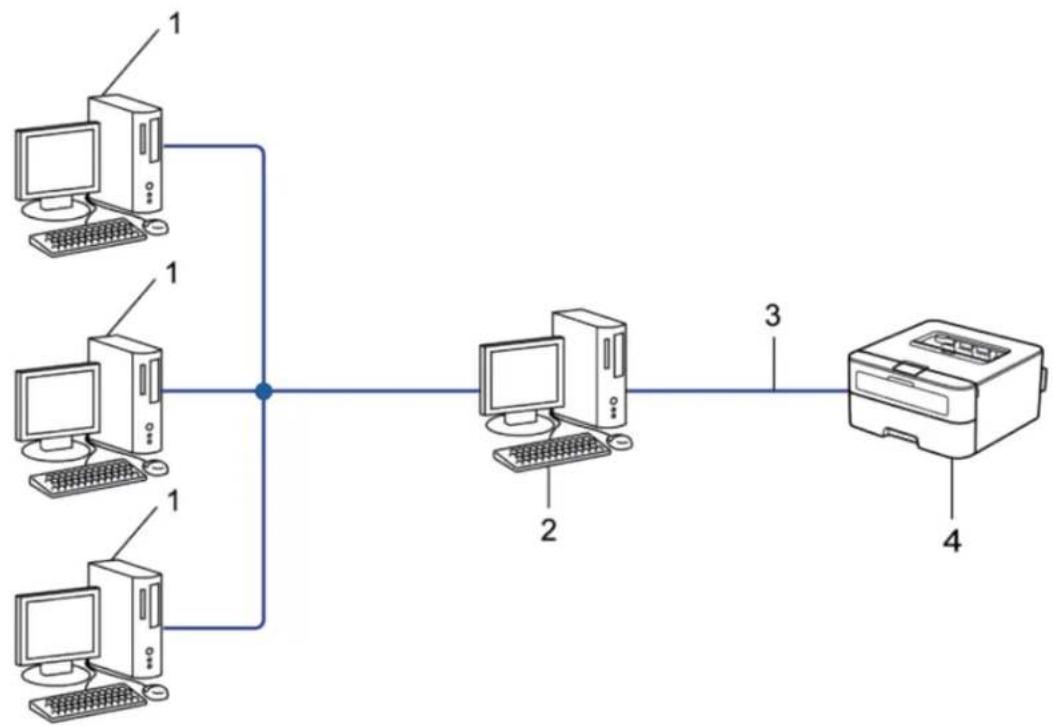 DELL E310dw - Sdílený sít'ový tisk - 1