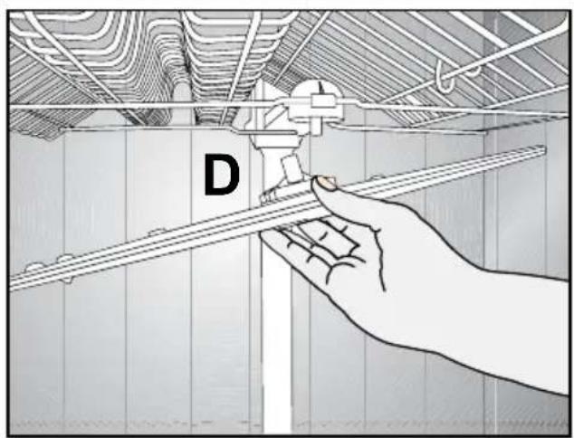 D
