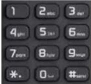 Planet VIP-1010PT - ▶ eypad, LED, and Function Key Definitions - 12