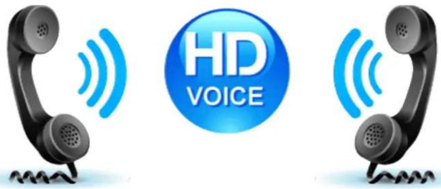 HD VOICE