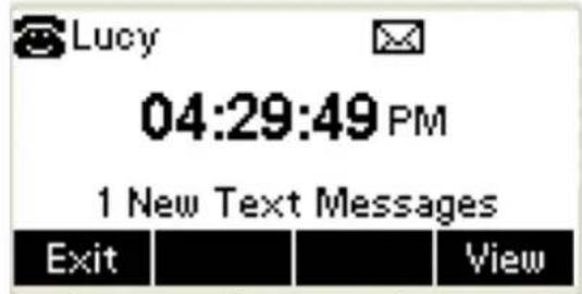 Lucy 04:29:49 PM 1 New Text Messages Exit View