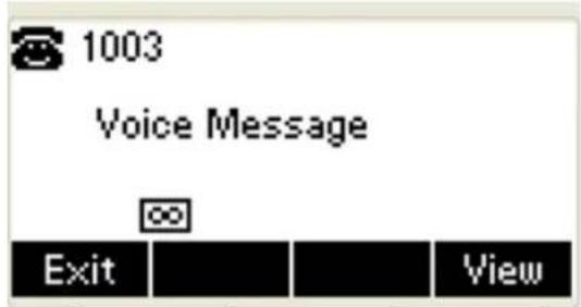 1003 Voice Message Exit View