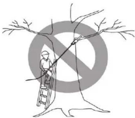 Fieldmann FZP 6005 E - SAFETY INSTRUCTIONS WHEN WORKING WITH POLE-MOUNTED PRUNER - 2