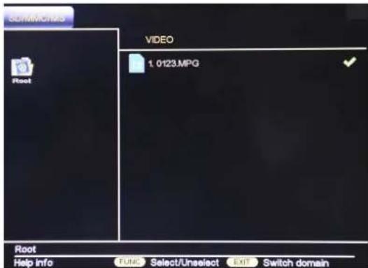 SOMENICS VIDEO 1.0123.MPG Root Help info Final Select/Unselect Exit Switch domain