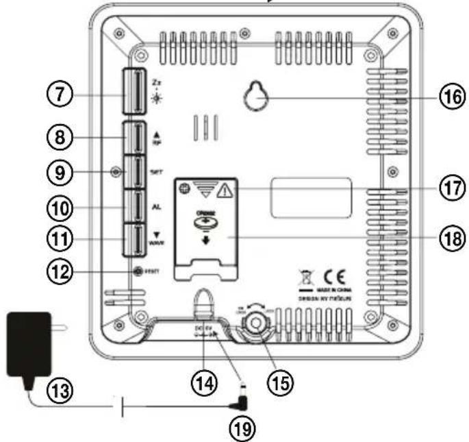 ECG MS 007 - OPIS - 2