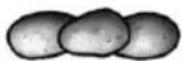 Zelmer ZHB 1620 B - Basic recipe: - 22