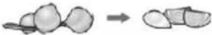 Zelmer ZHB 1620 B - Tips on operating the appliance - 7