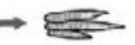 Zelmer ZHB 1620 B - Przepis podstawowy: - 55