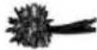 Zelmer ZHB 1620 B - Przepis podstawowy: - 33
