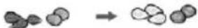 Zelmer ZHB 1620 B - Basic recipe: - 23