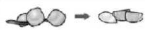 Zelmer ZHB 1620 B - Basic recipe: - 11