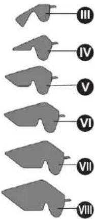 III IV V VI VII VIII