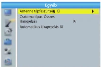 Egyéb Antenna tápfeszültség Ki Csatoma tipus Összes Hangjelzés Ki Automatikus kikapcsolás Ki