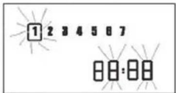 1 2 3 4 5 6 7 00:00