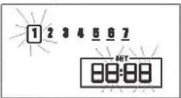 1 2 3 4 5 6 7 8:00:00