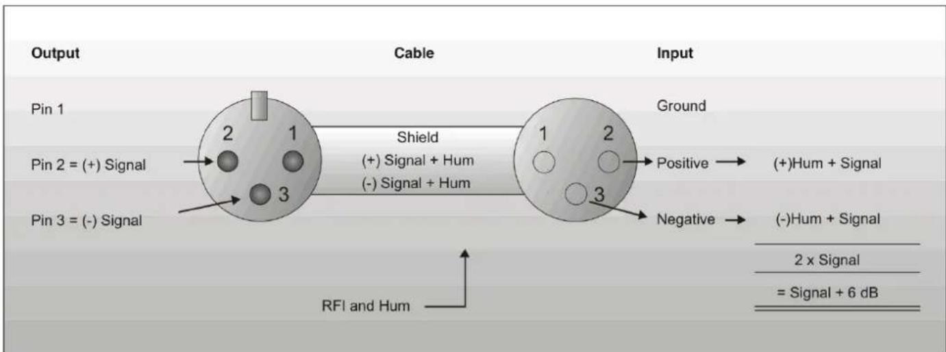 DAP-Audio DSA-250 - Connection Cables - 5