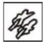 Klarstein 10027399 - Lebensmittelsymbole und Garzeiten - 1