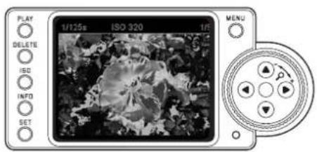PLAY 1/125s ISO 320 1/1 DELETE ISO INFO SET MENU