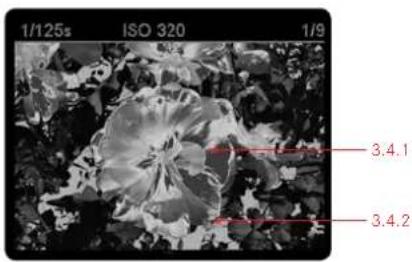 LEICA M Monochrom - When viewing clipping indicators - 1