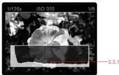 LEICA M Monochrom - Review with histogram - 1
