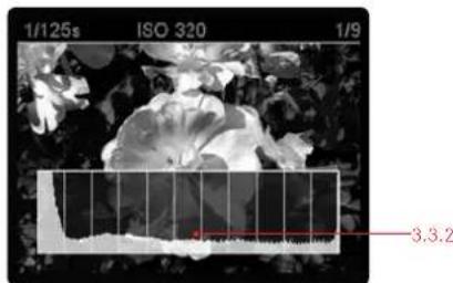 LEICA M Monochrom - Review with histogram - 2