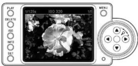 PLAY 1/125s ISO 320 1R DELETE ISO INFO SET MENU