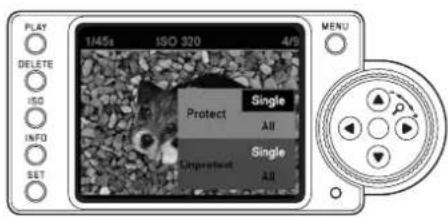 PLAY 1/45s ISO 320 4/F DELETE ISO INFO SET Protect Single All Single Unprotect All MENU