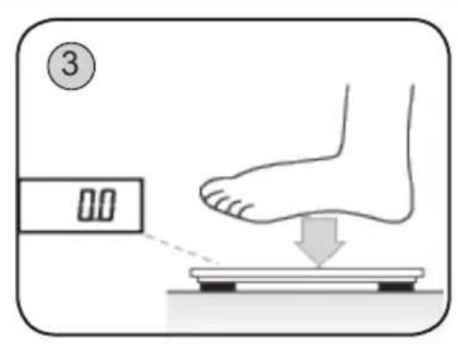 ③ 0.0