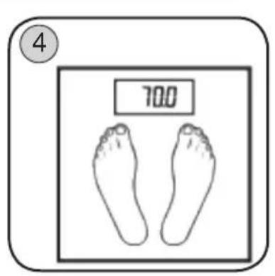 700 ④