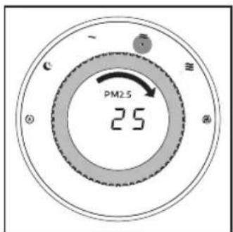 PM2.5 25