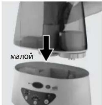 малой
