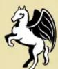 Pegasus Camel Up - Example: - 10
