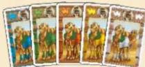 Pegasus Camel Up - SETUP - 4