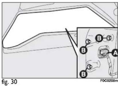 fig. 30 F0C0208m