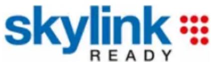 skylink READY