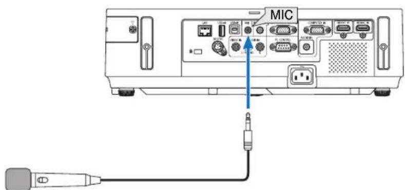 MIC