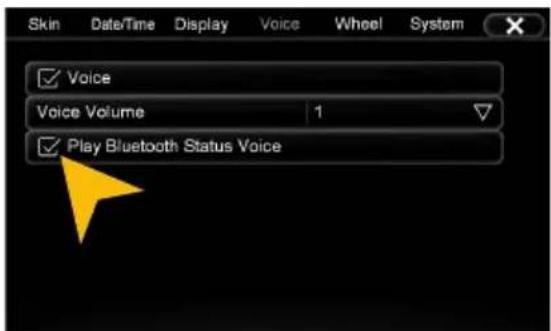 Skin Date/Time Display Voice Wheel System ✓ Voice Voice Volume 1 ✓ Play Bluetooth Status Voice