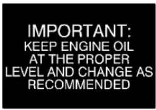 IMPORTANT: KEEP ENGINE OIL AT THE PROPER LEVEL AND CHANGE AS RECOMMENDED