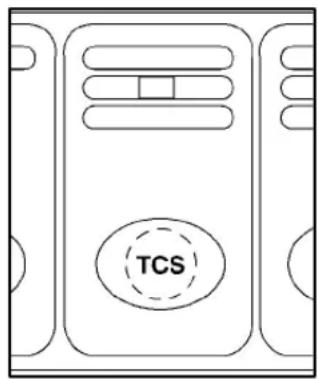 TCS