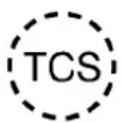 Oldsmobile Silhouette (1999) - Traction Control System Warning Light (Option) - 1