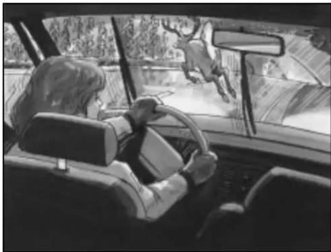 Black-and-white illustration of a person driving a car, with a horse jumping out the window (no text or symbols visible)