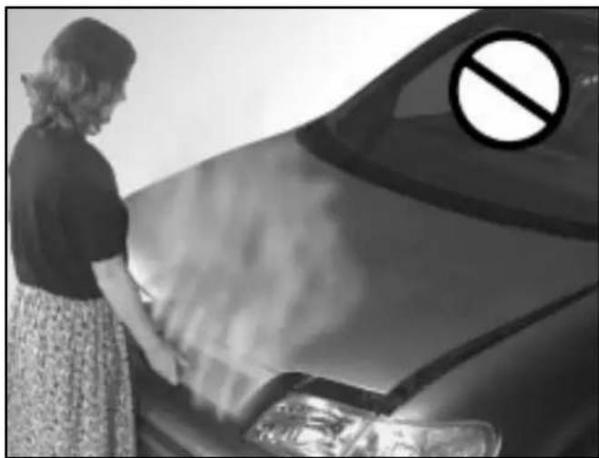 Woman standing beside a car with a no-smoking symbol on the roof (no text or numbers visible)