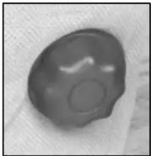Close-up of a smooth, rounded object with a circular opening, possibly a button or knob (no text or symbols visible)