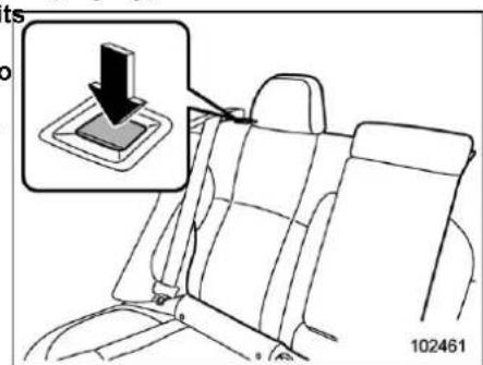 Diagram showing a car seatbelt with a magnified inset highlighting the seatbelt component.