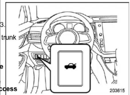 3. trunk e access 203615
